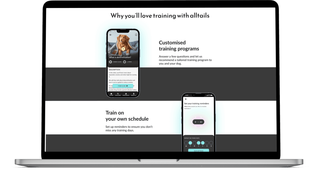 Marketing site features